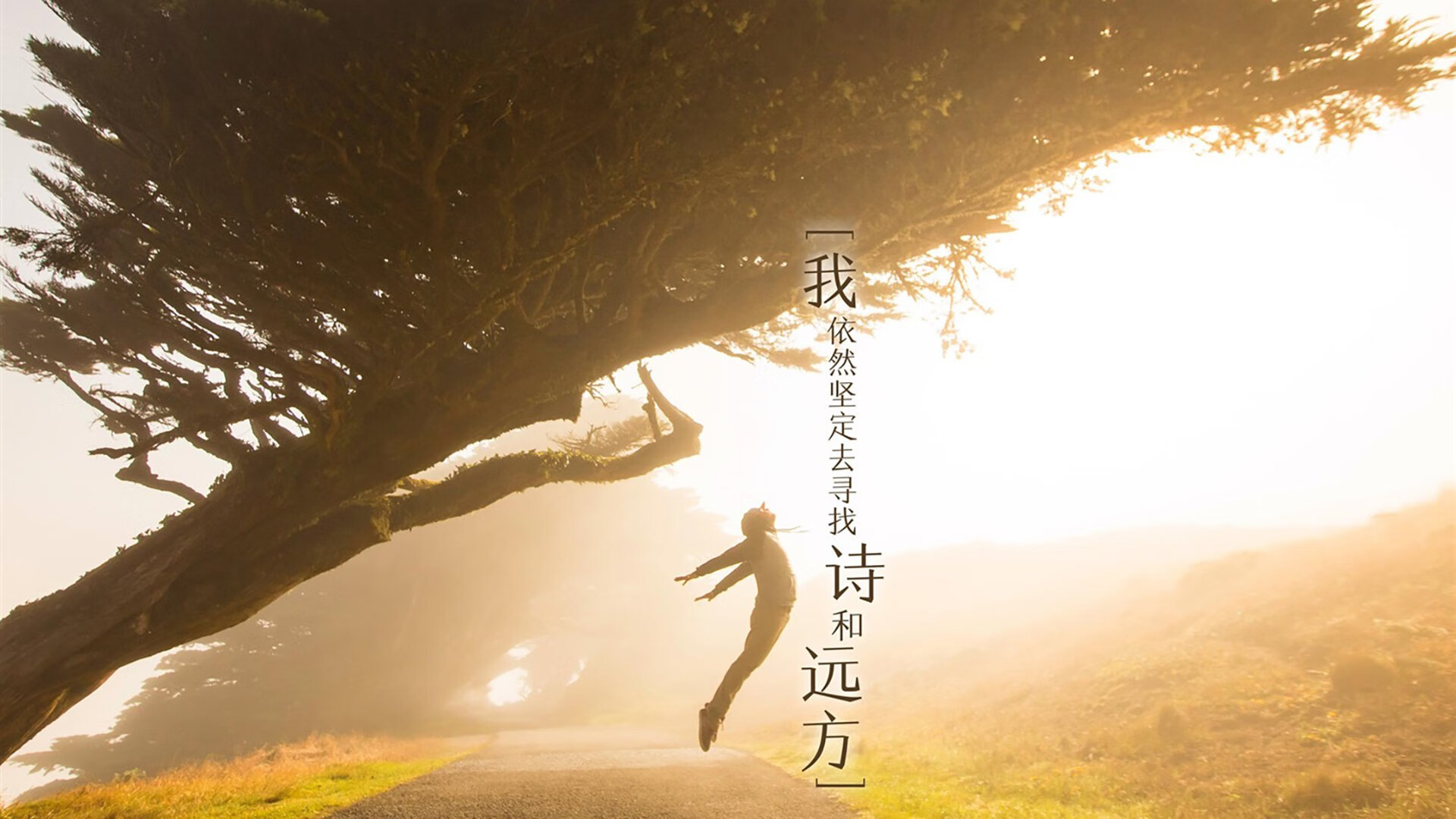 IM体育官方平台-塔图姆成为胜负手，湖人全面压制掘金