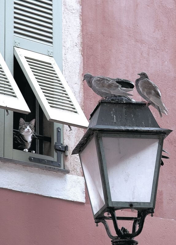 2026世界杯焦点战，委内瑞拉力克中国，亚洲足球的警钟与希望